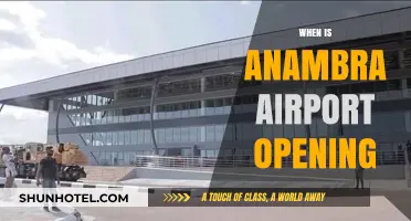 Anambra Airport Opening: Anticipated Launch Date and Latest Updates