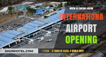 Cheddi Jagan International Airport Opening Date: What Travelers Need to Know