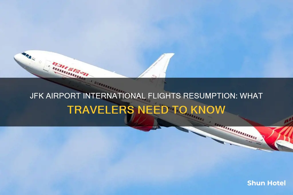 when is jfk airport opening for international flights