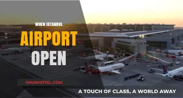 Istanbul Airport's Grand Opening: A New Era in Travel