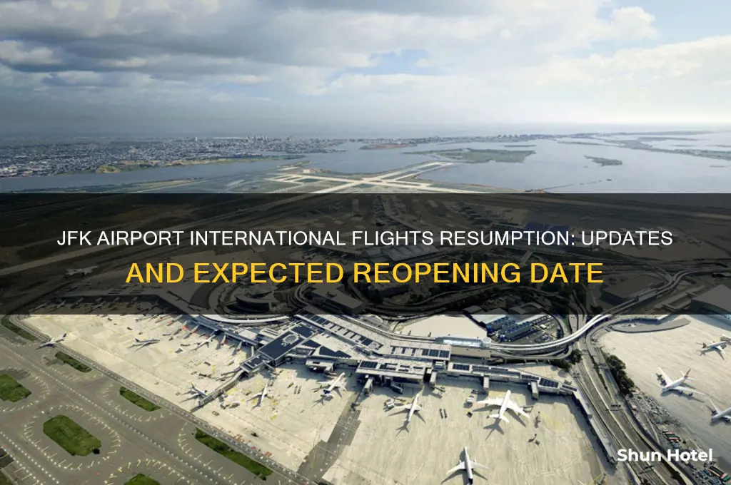 when jfk airport will reopen for international flights