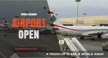 When Will Lebanon's Beirut Airport Reopen for International Travel?
