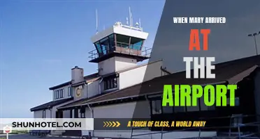 Mary's Airport Arrival: A Day of Adventure and Excitement