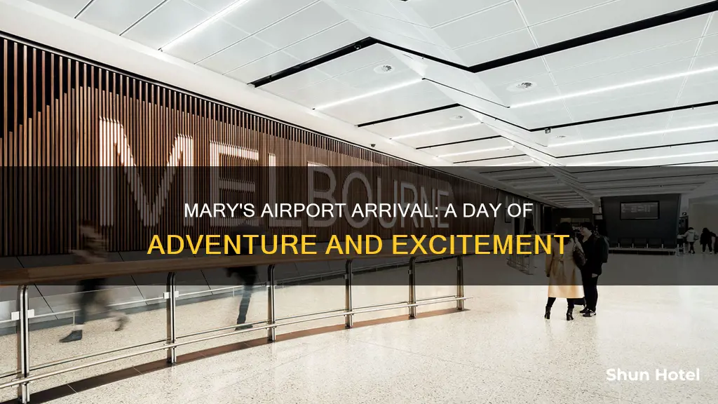 when mary arrived at the airport
