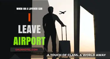 Exploring During Layovers: Can I Leave the Airport?