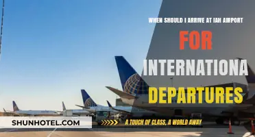 Best Time to Arrive at IAH for Stress-Free International Flights
