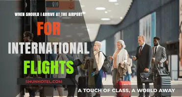 International Flight Timing: When to Arrive at the Airport