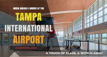 Tampa International Airport Arrival Guide: Timing Your Trip Perfectly