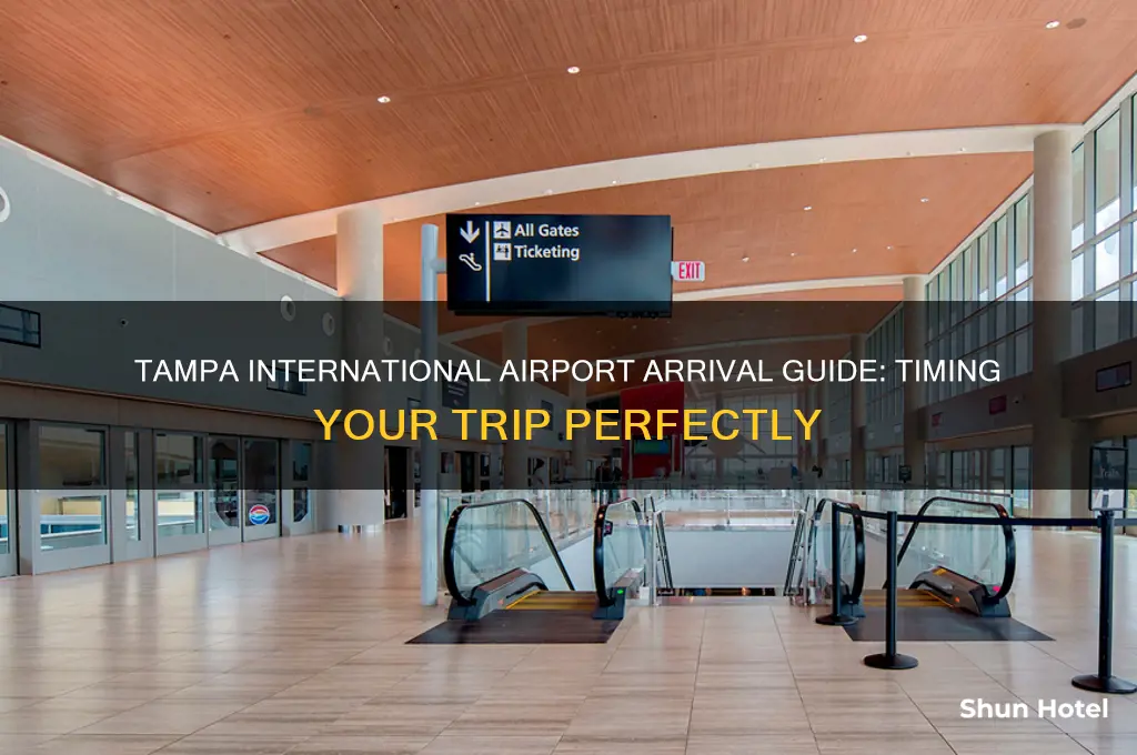 when should i arrive at the tampa international airport