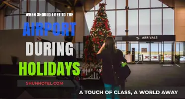Holiday Travel Tips: Best Time to Arrive at the Airport