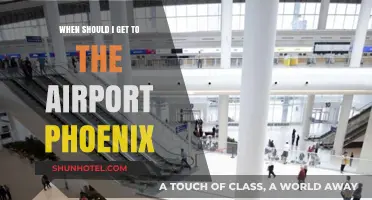 Phoenix Airport Arrival Guide: Timing Your Trip for Stress-Free Travel