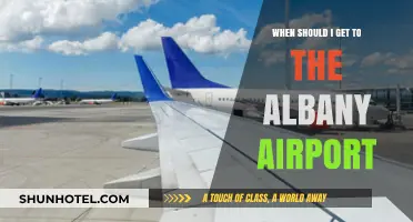 Best Time to Arrive at Albany Airport: A Travel Guide