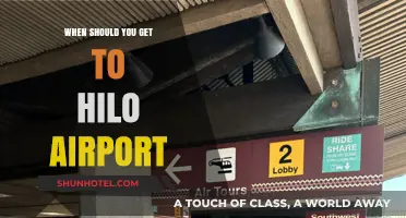 Best Time to Arrive at Hilo Airport for Stress-Free Travel