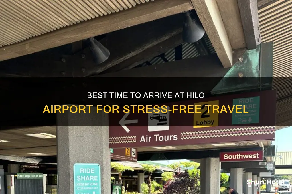 when should you get to hilo airport