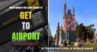Perfect Timing: Leaving Disney for Your Flight Stress-Free