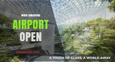 Singapore Airport's Historic Opening: A Journey Through Time and Innovation
