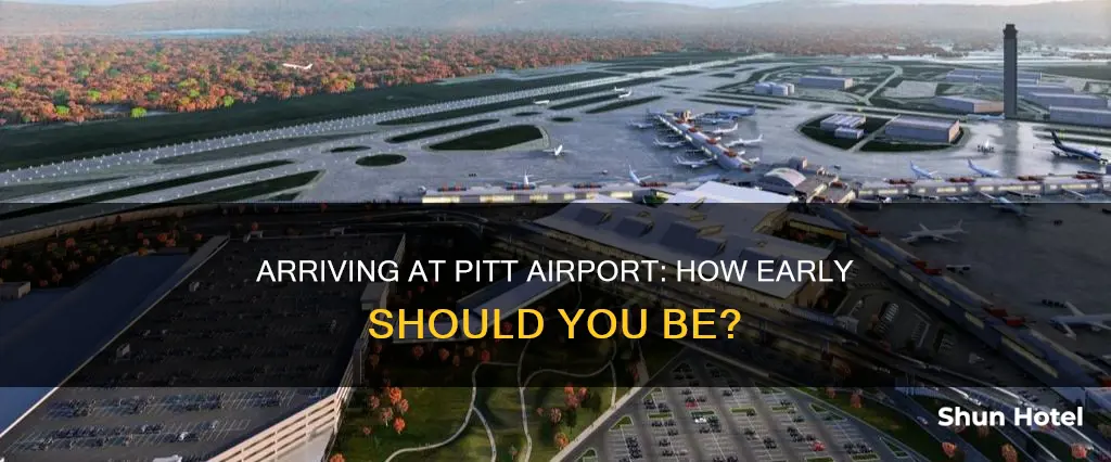 when to arrival at pitt airport