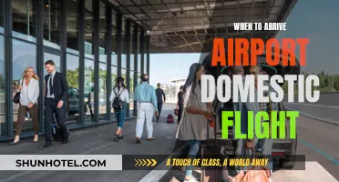 Arriving Early: Domestic Flight Airport Check-In Guide