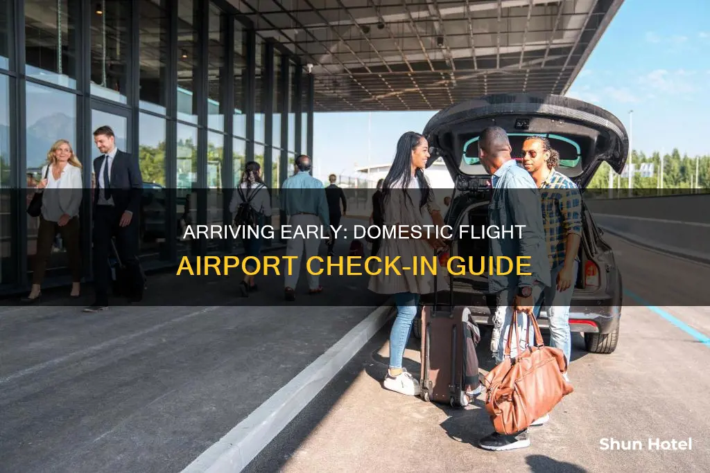 when to arrive airport domestic flight