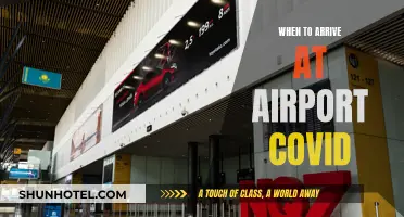 Arriving at the Airport: COVID-Era Timings and Tips