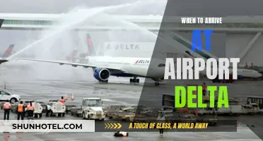 Arriving Early: Delta Airport Guidelines and Recommendations