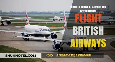 British Airways International Flights: Optimal Airport Arrival Times Guide