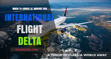 Delta International Flights: Optimal Airport Arrival Times for Stress-Free Travel