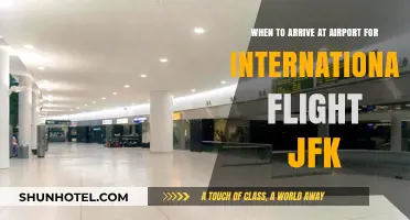 When to Arrive at JFK for Stress-Free International Travel