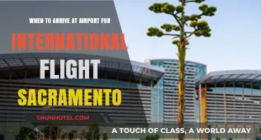 Sacramento International Flight: Optimal Airport Arrival Time Guide
