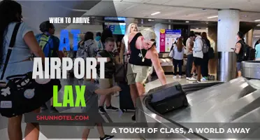 Arriving at LAX: How Early Should You Be?
