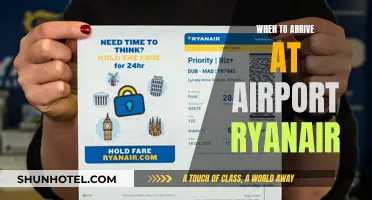 Arriving Prepared: Ryanair's Airport Check-In Expectations