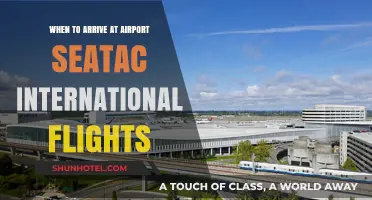 Best Arrival Times for SeaTac International Flights: A Quick Guide