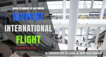 Best Time to Arrive at Baltimore Airport for International Flights