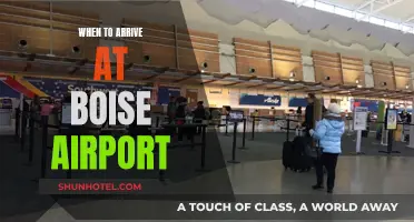 Boise Airport: Ideal Arrival Time and Tips