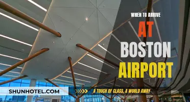 Boston Airport Arrivals: When Should You Get There?