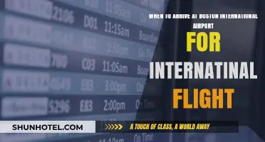 Boston International Airport: Optimal Arrival Times for International Flights