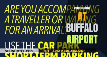Navigating Buffalo Airport: Arrival Time and Tips