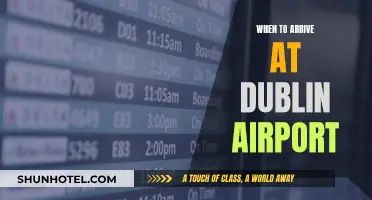 Dublin Airport Arrivals: Timing Your Visit Perfectly