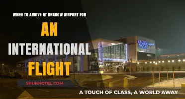 Optimal Arrival Time for International Flights at Krakow Airport