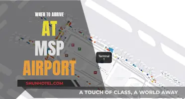 Navigating MSP Airport: Arrival Time Essentials