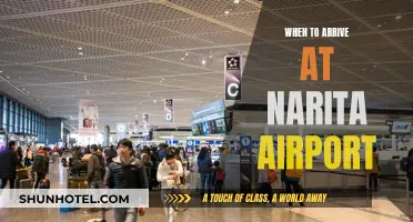 Arriving at Narita Airport: Timing Your Visit Perfectly