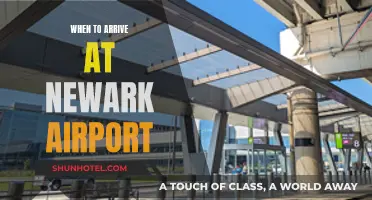 Arriving at Newark: How Early Should You Be?
