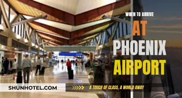 Phoenix Airport: Best Arrival Time for Stress-Free Travel