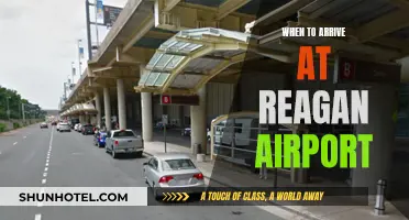Arriving at Reagan Airport: What Time Should I Land?