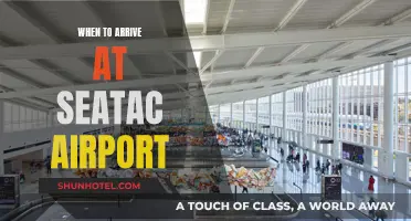 Arriving at SeaTac: How Early Should You Be?