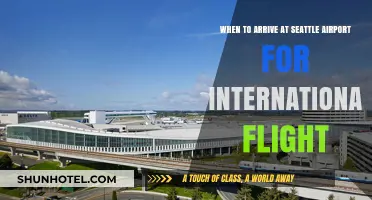Seattle Airport International Flights: Optimal Arrival Times for Stress-Free Travel