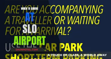 Best Arrival Time for Stress-Free Travel via SLO Airport