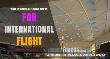 Sydney Airport International Flights: Optimal Arrival Times for Stress-Free Travel