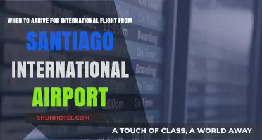 Navigating Santiago International Airport: Optimal Arrival Times for International Flights