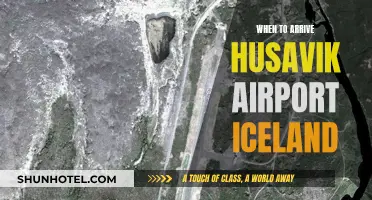 Best Time to Arrive at Husavik Airport, Iceland